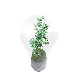 植物的燈泡