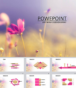 花开六月ppt