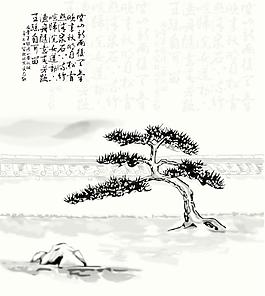 松樹