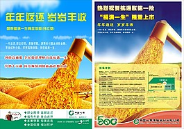 保險(xiǎn)公司宣傳單