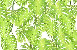 綠葉背景矢量素材3