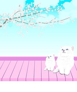 貓咪移門