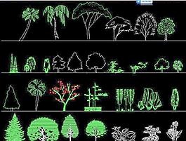 园林立面植物图例