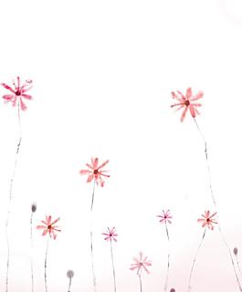 花朵移門