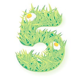 草向量數五