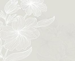 線條花紋矢量素材2