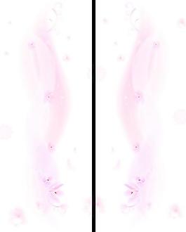 矢量移門圖案