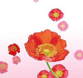 花朵移門(mén)