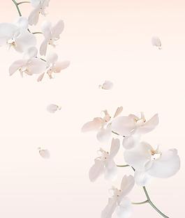 移門