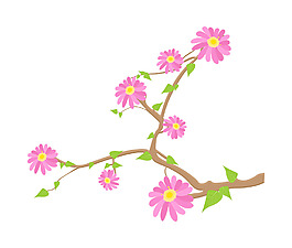 粉紅色的花嫩枝