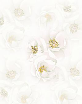 花朵移門