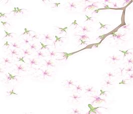 花朵移門