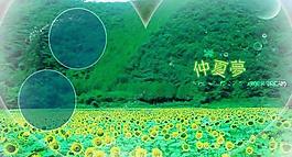 仲夏夢婚紗設(shè)計(jì)PSD模板(5)