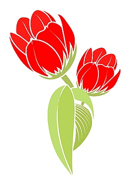紅色郁金香花
