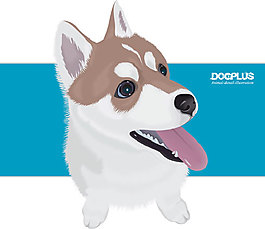 可愛的棕色阿拉斯加犬