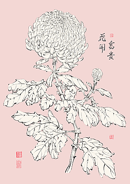 翻譯：菊花矢量中國(guó)繁榮的花