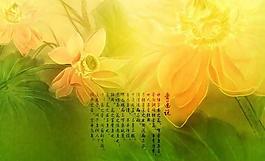 愛蓮說婚紗背景PSD模板