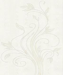 移門(mén) 木紋