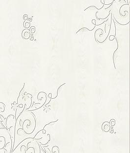 移門(mén) 木紋