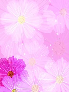 移門花紋
