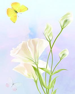 花朵移門