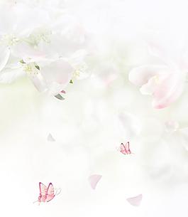 花朵移門