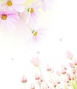 花朵移門