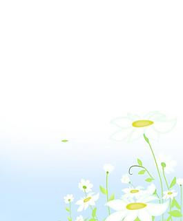 花朵移门