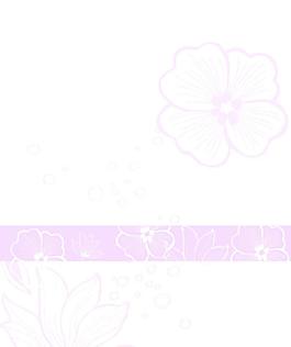 花紋 移門
