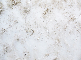 雪12紋理