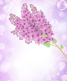 紫色花束