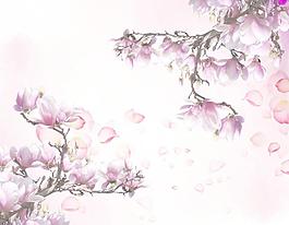推拉門貼圖
