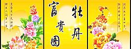 牡丹移門
