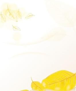 移門(mén)