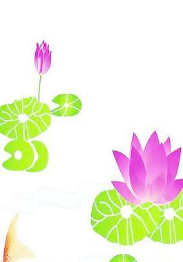 荷花魚(yú)