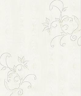 移門(mén) 木紋