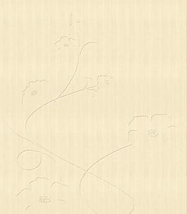 移門(mén) 木紋