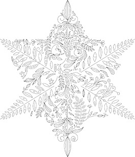 向量的雪花