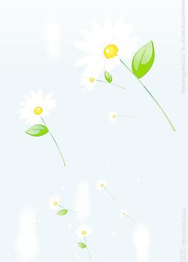 花朵移门
