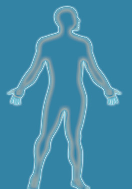 男性人體解剖學綱要藍