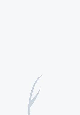 花紋移門
