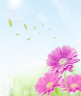花朵移門