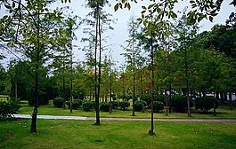 園林生態 休閑境地