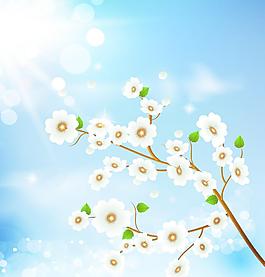 花朵移门