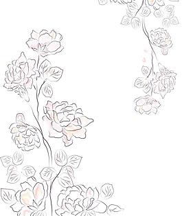 玫瑰花