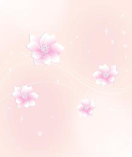時(shí)尚花紋移門