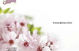 感恩母親節(jié)康乃馨PPT模板