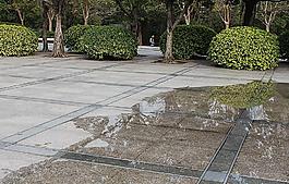 一地濕水