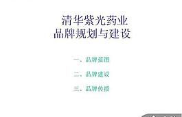 品牌建設規劃PPT模板