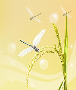 花朵移門